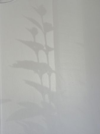 DSCN0416