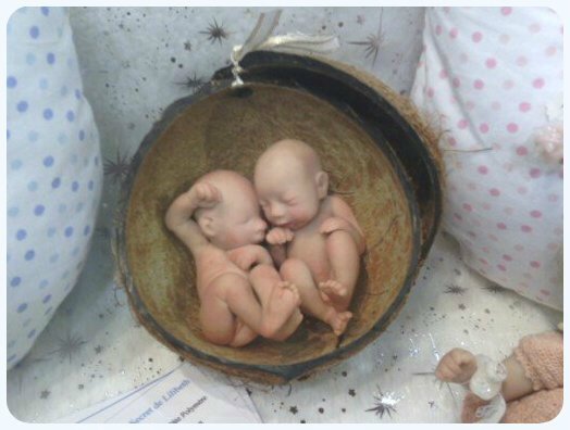 Rencontres pullipiennes