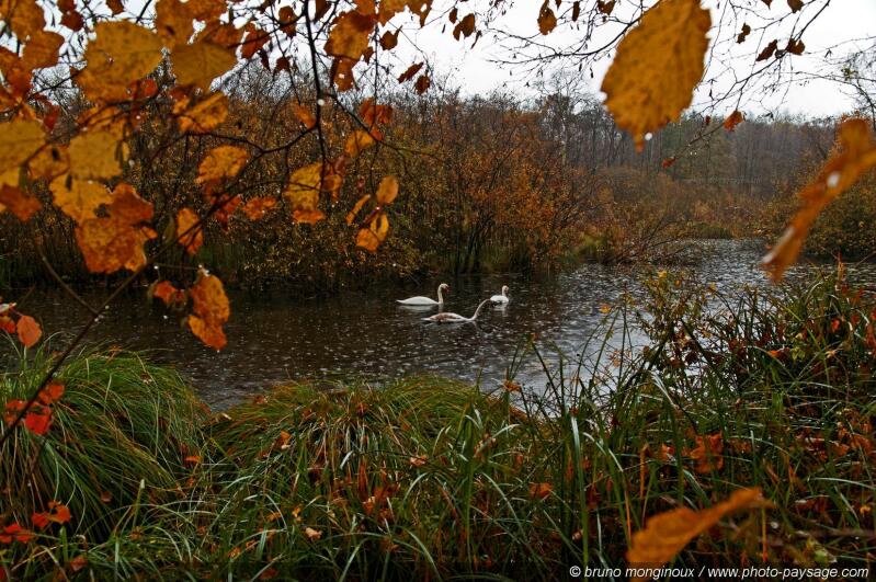 normal_Jour_d_automne_sous_la_pluie_-04
