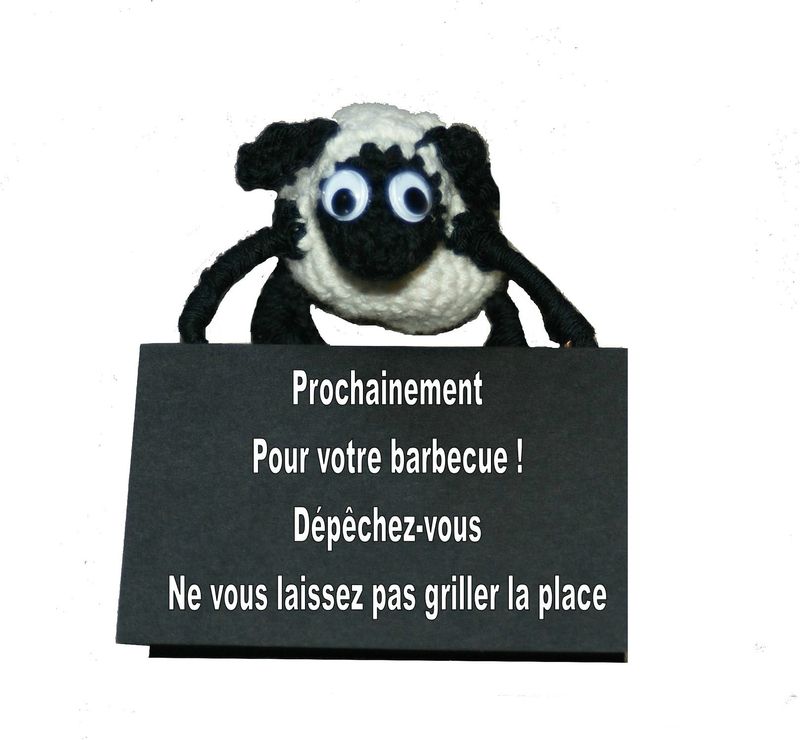 annonce willow
