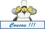 Afficher l'image d'origine