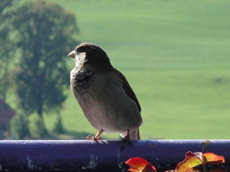 DSC01560