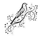 oiseau3 photocopie V
