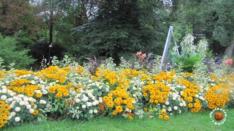 Cognac_0048