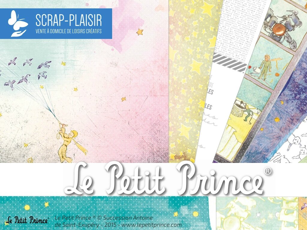 le petit prince analyse des rencontres