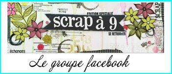 crop pierrefeu scrapa9