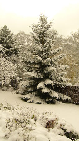 Photo_008