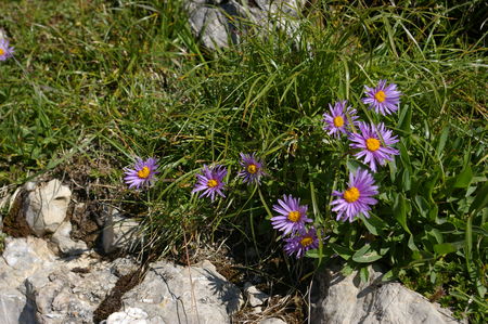 IMGP0742
