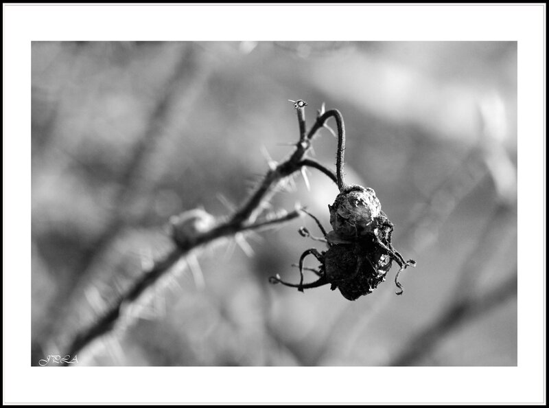 14 03 02 14 02 19 105macro 8850 b