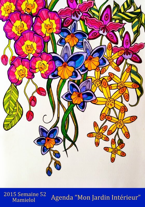 Mon Jardin Secret-Semaine 53
