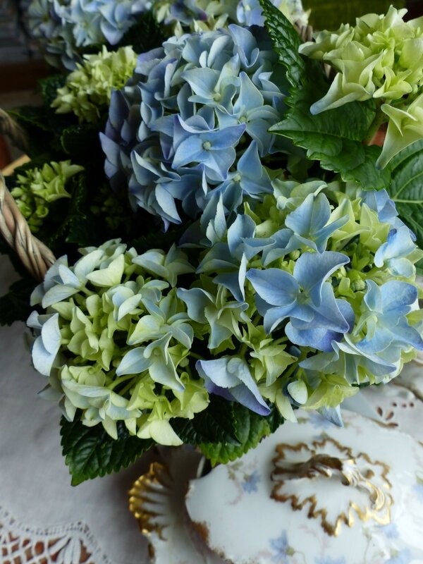 hortensia fête des mères 2016 (2)