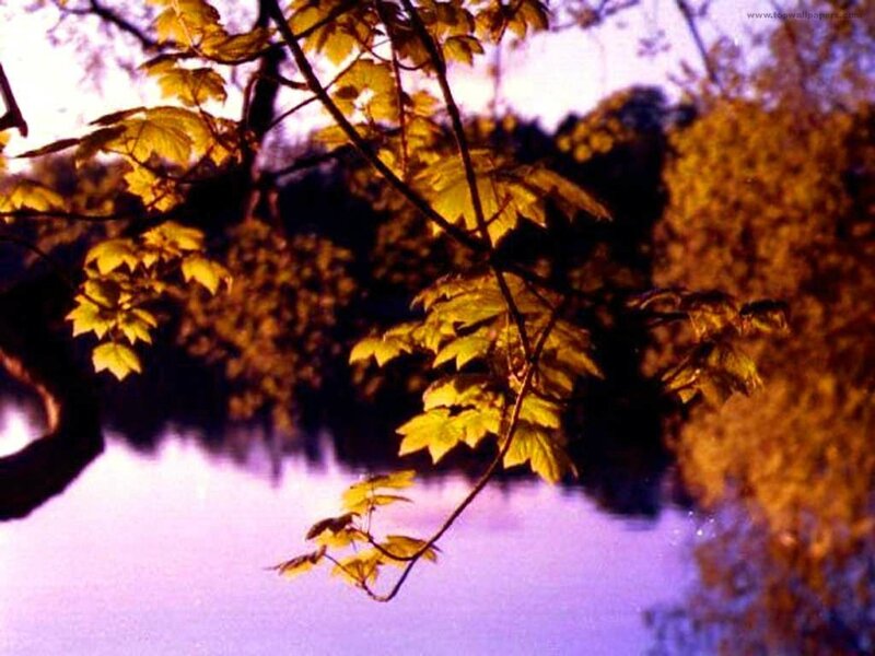 paysage50_1024