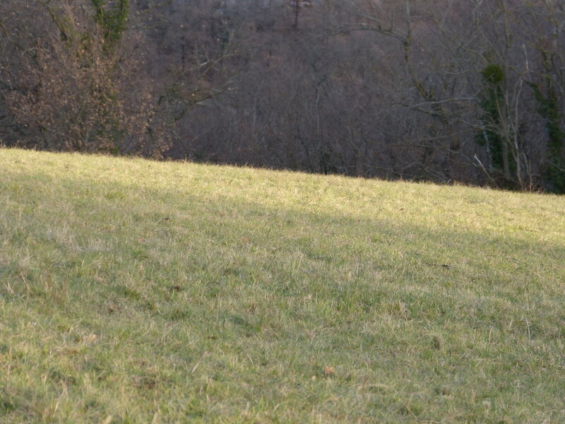 P1030116