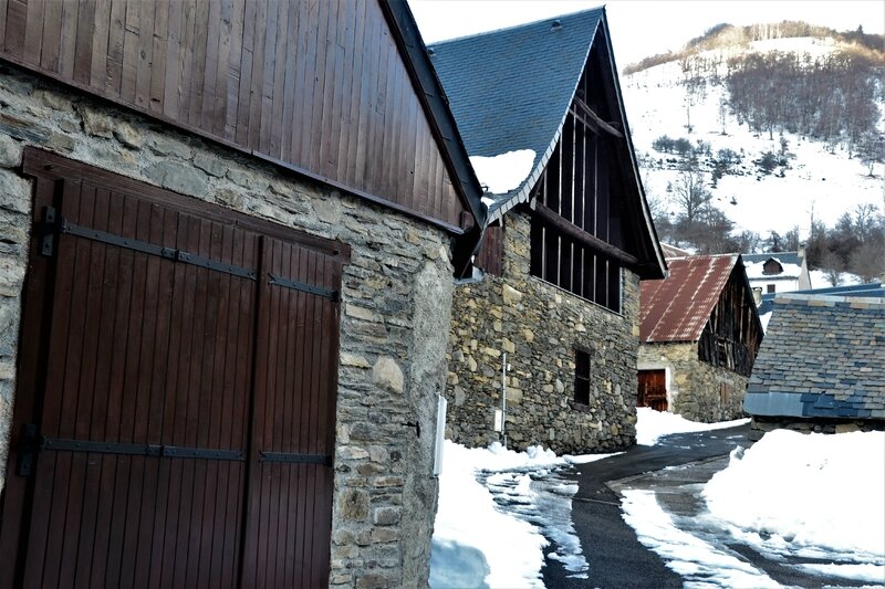 DSC_0174 (2)