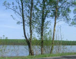 Balade_nature
