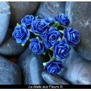 rose bleu 10 mm
