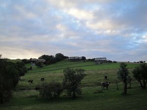 DSC06226