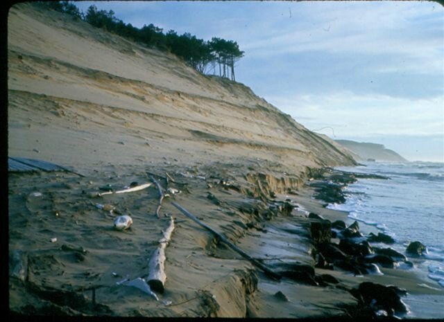 erosion_au_sud-dunepilat-26_octobre-2007-1