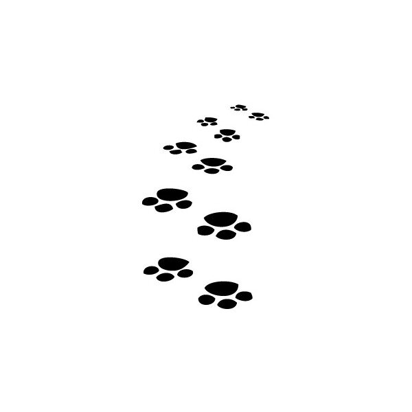 Ma vie de futur chien d'assistance Ma vie de futur chien d'assistance