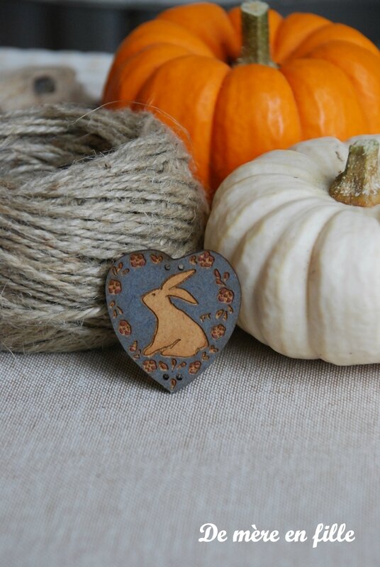 lapin coeur bleu