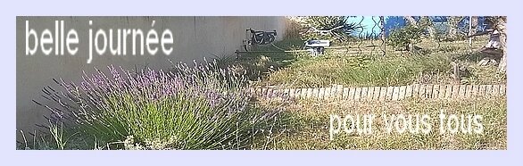 WP_20170614_18_33_24_Pro