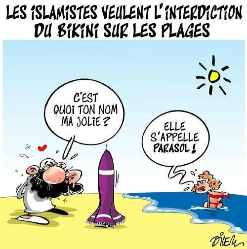 Résultat de recherche d'images pour "caricatures bagarres islamistes"