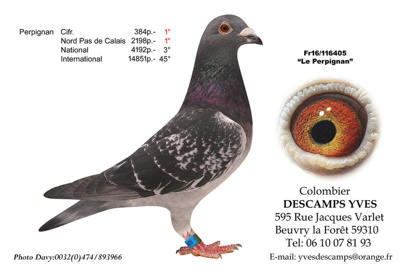 DESCAMPS YVES 405-16