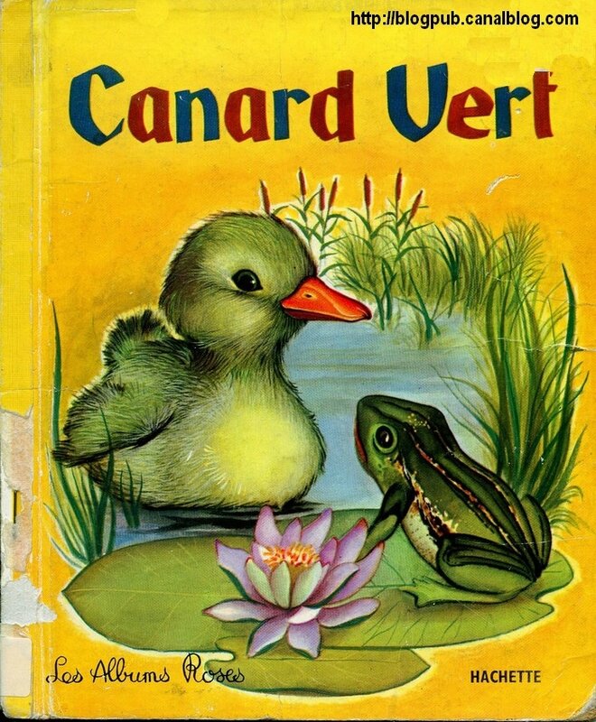 canar 62 968