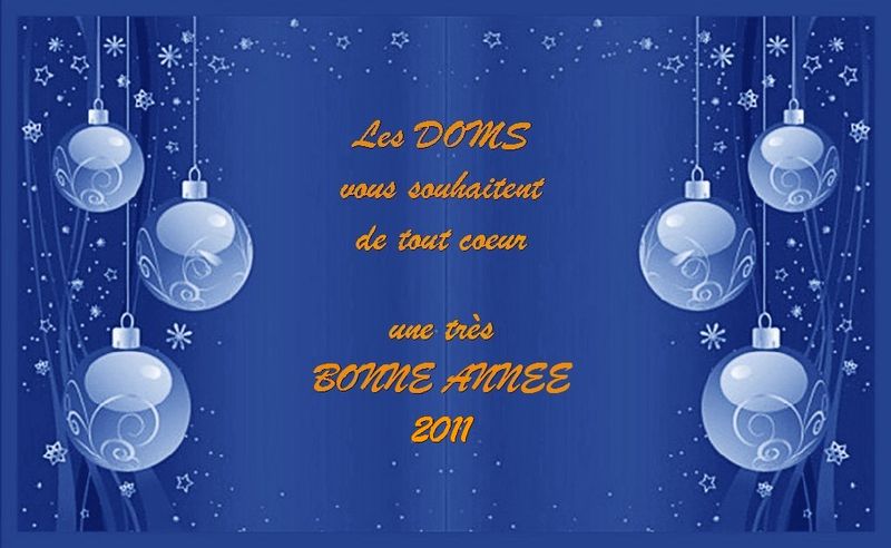 Bonne_Annee_2011_Les_Doms