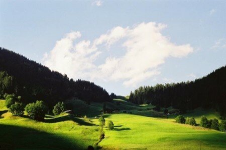 areche1