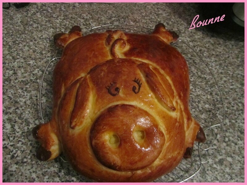 Mon cochon brioché (2)