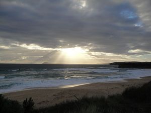 DSC06209