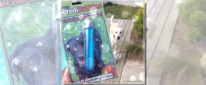 Test Bulles