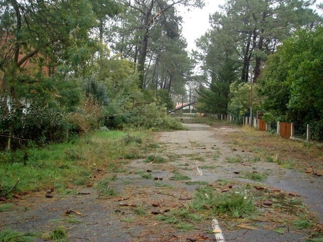 Photo-degats-vents-tempete-biscarosse-plage-chateau-eauXI