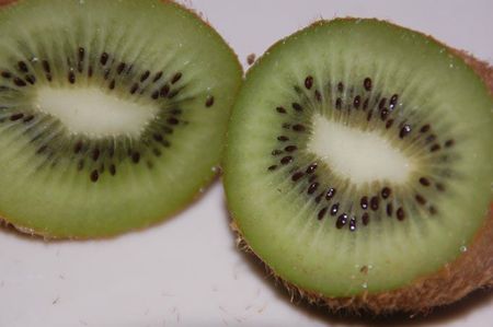 04-03-12 Kiwi