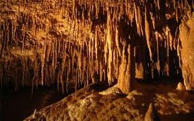 images (9)