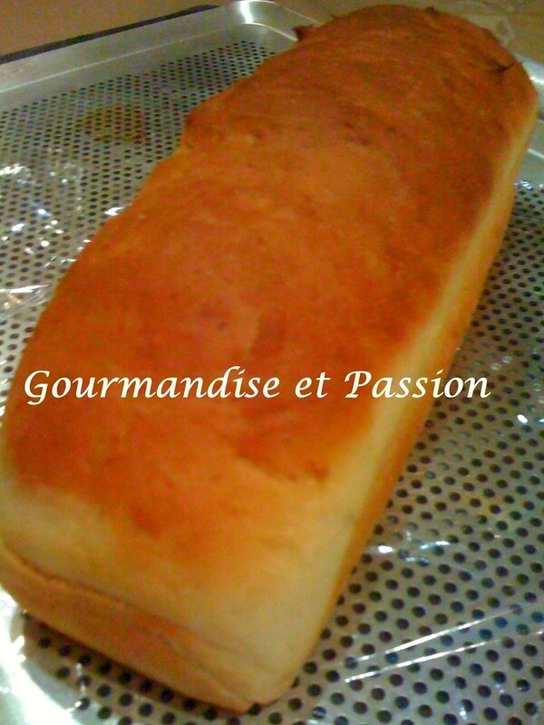 gourmandise 012