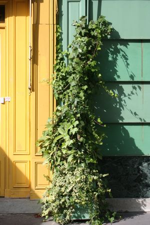 4_Aout_2008_513