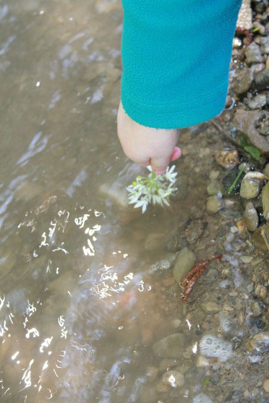 ail2