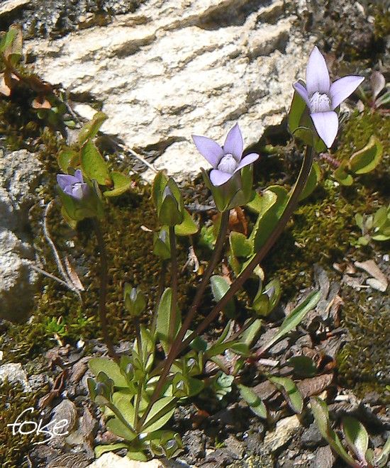 rencontre bi annuelle