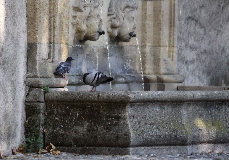 Site de rencontres aix en provence