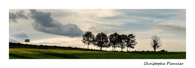 IMGP1287-10