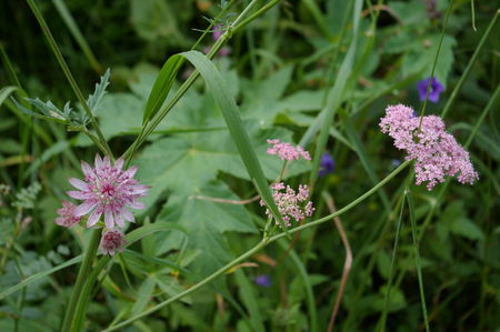 IMGP0659