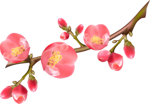 114216651_o.png