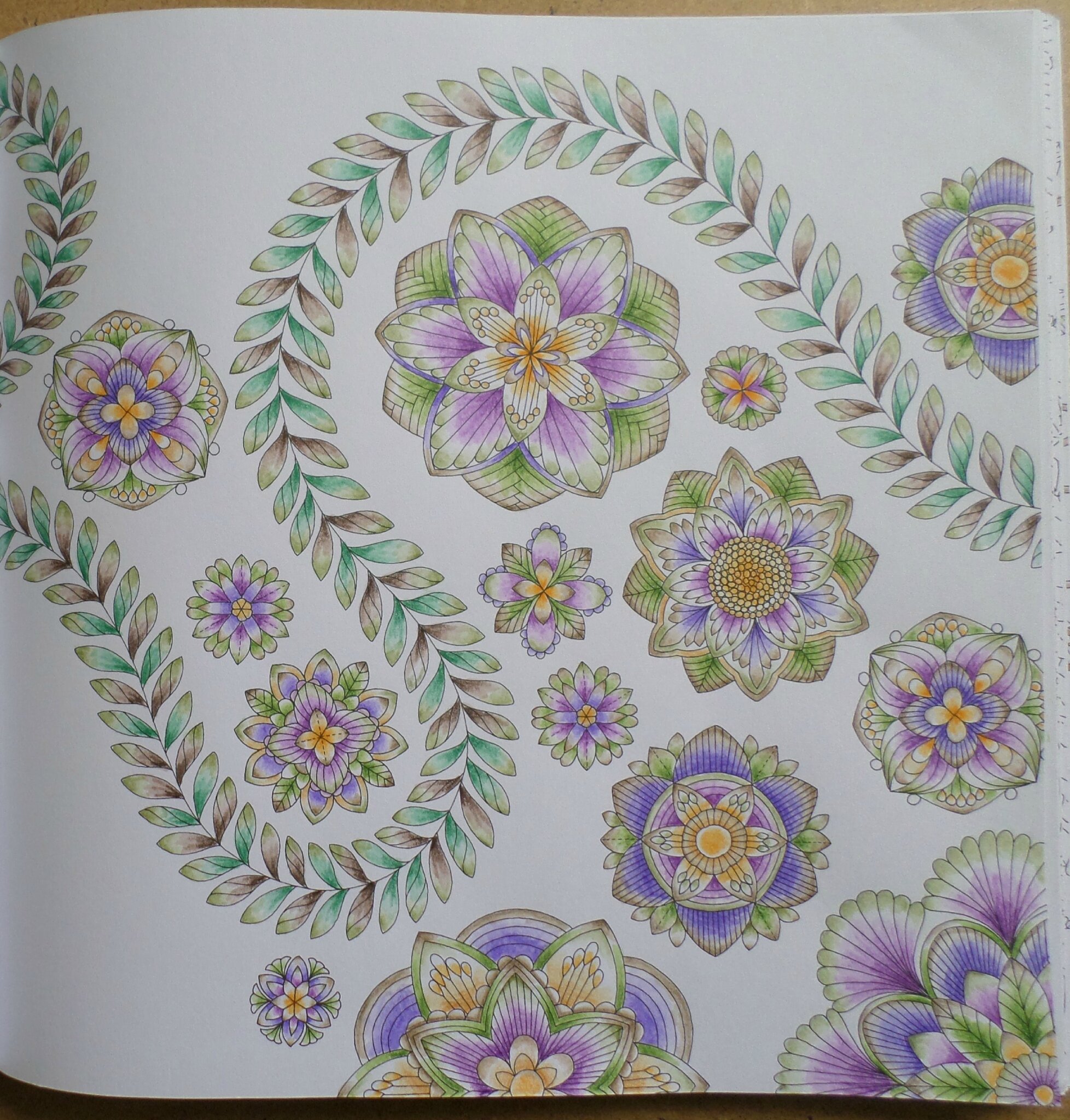 Coloriage Fleurs Coucou SAM 4267 SAM 4268 SAM 4270 Livre Forªt Tropicale