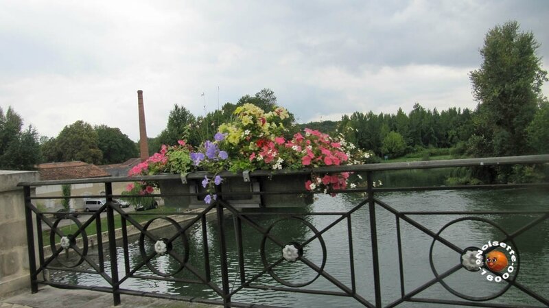 Cognac_0057