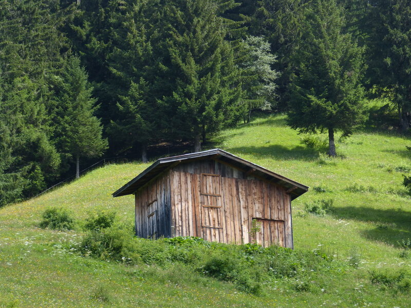P1030761
