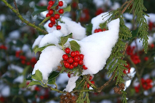 photo-neige-haute-loire-03