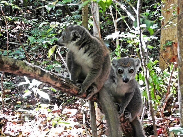 rencontre diego
