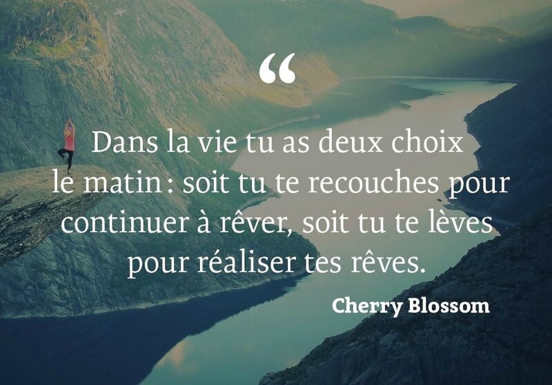 vie